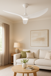 Evolve DC Ceiling Fan with Light and Remote